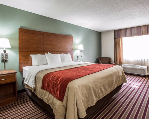 Imagen de la habitación del Hotel Best Western Plus Raleigh Crabtree Valley. Foto 7