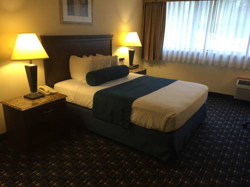 Imagen de la habitación del Hotel Best Western Plus Reading Inn & Suites. Foto 4