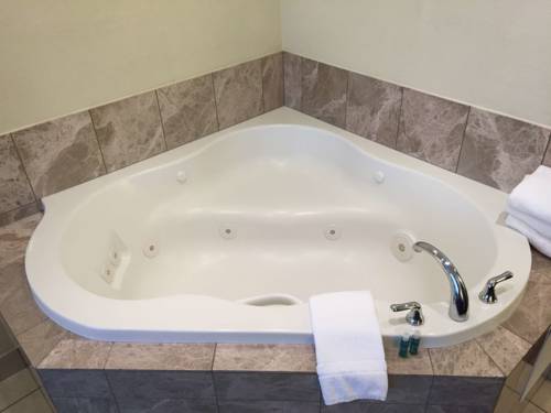 Imagen de la habitación del Hotel Best Western Plus Reading Inn & Suites. Foto 5