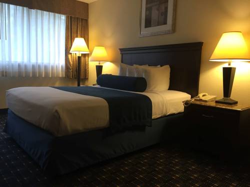 Imagen de la habitación del Hotel Best Western Plus Reading Inn & Suites. Foto 6