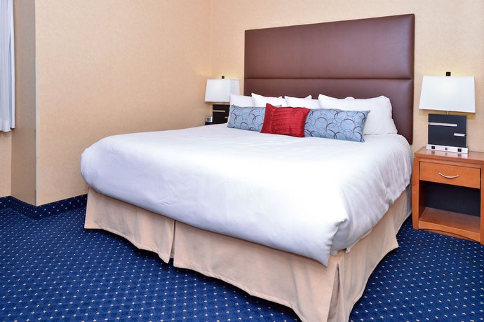 Imagen de la habitación del Hotel Best Western Plus Regency Inn And Conference Centr. Foto 16