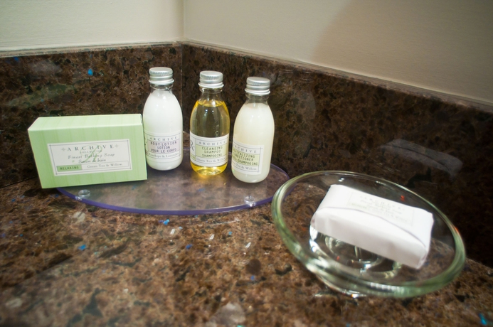 Imagen de la habitación del Hotel Best Western Plus Revelstoke. Foto 7