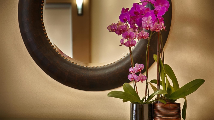 Imagen de los interiores del Hotel Best Western Plus Salinas Valley Inn and Suites. Foto 12