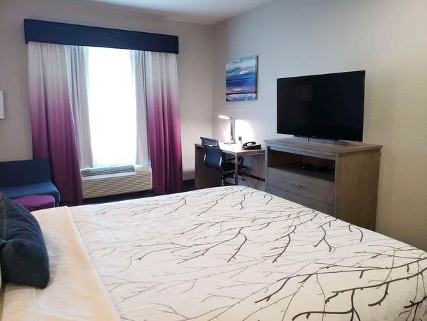 Imagen de la habitación del Hotel Best Western Plus San Antonio East Inn and Suites. Foto 15