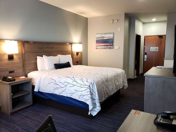 Imagen de la habitación del Hotel Best Western Plus San Antonio East Inn and Suites. Foto 16