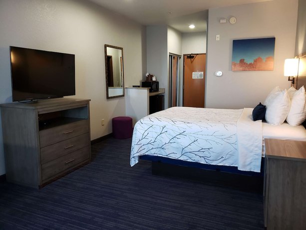 Imagen de la habitación del Hotel Best Western Plus San Antonio East Inn and Suites. Foto 19