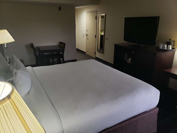 Imagen de la habitación del Hotel Best Western Plus Sanford Airport/lake Mary. Foto 6