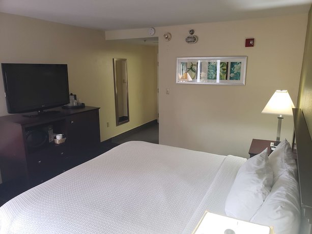Imagen de la habitación del Hotel Best Western Plus Sanford Airport/lake Mary. Foto 13