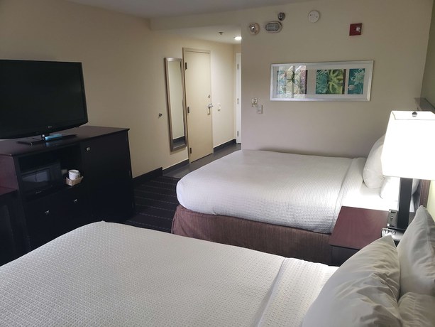 Imagen de la habitación del Hotel Best Western Plus Sanford Airport/lake Mary. Foto 15