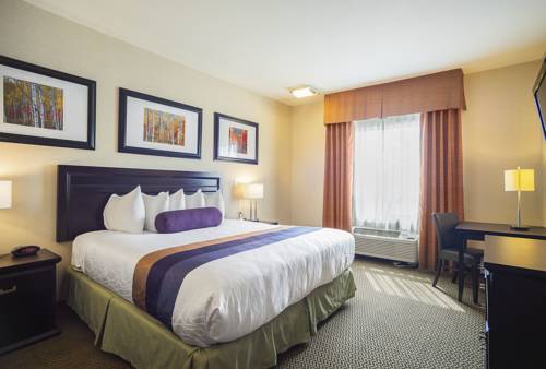 Imagen de la habitación del Hotel Best Western Plus The Inn At St Albert. Foto 14