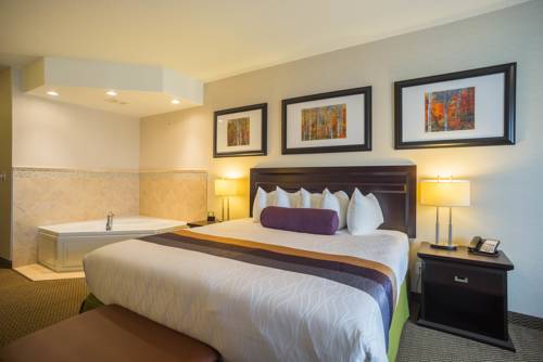 Imagen de la habitación del Hotel Best Western Plus The Inn At St Albert. Foto 15