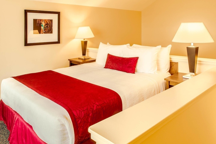 Imagen de la habitación del Hotel Best Western Plus Tin Wis Resort. Foto 13