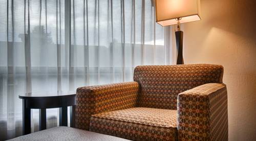 Imagen de la habitación del Hotel Best Western Plus Tree House. Foto 4