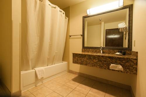 Imagen de la habitación del Hotel Best Western Plus Tree House. Foto 5