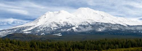 Imagen de la habitación del Hotel Best Western Plus Tree House. Foto 6