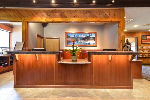 Imagen de la habitación del Hotel Best Western Plus Tree House. Foto 9