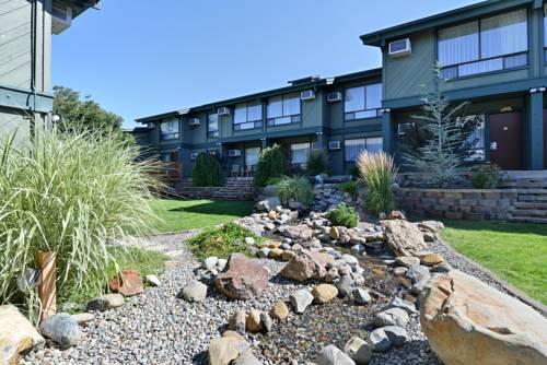 Imagen de la habitación del Hotel Best Western Plus Tree House. Foto 10