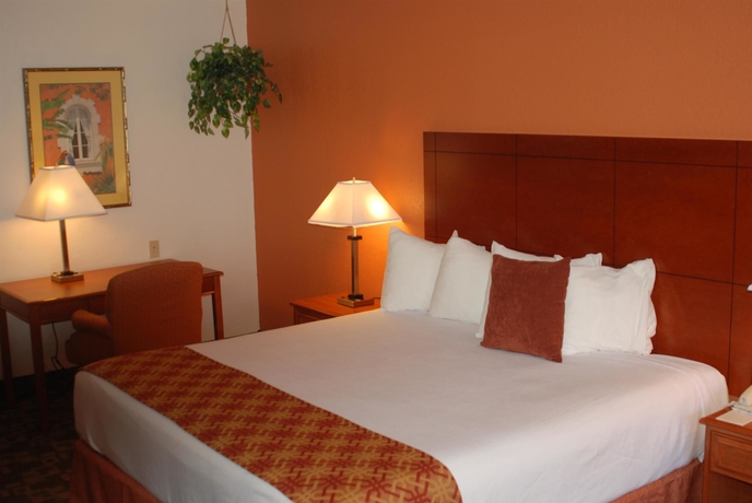 Imagen de la habitación del Hotel Best Western Plus University Inn, Boca Raton. Foto 3