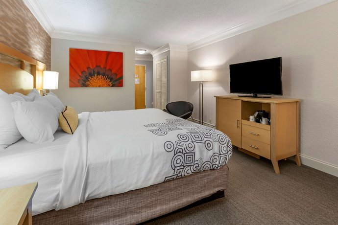 Imagen de la habitación del Hotel Best Western Plus University Inn, Winston-Salem. Foto 4