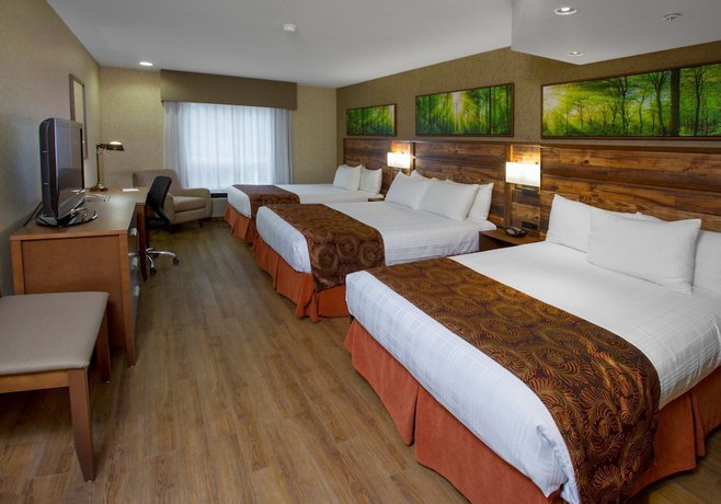 Imagen de la habitación del Hotel Best Western Plus Valemount Inn and Suites. Foto 6