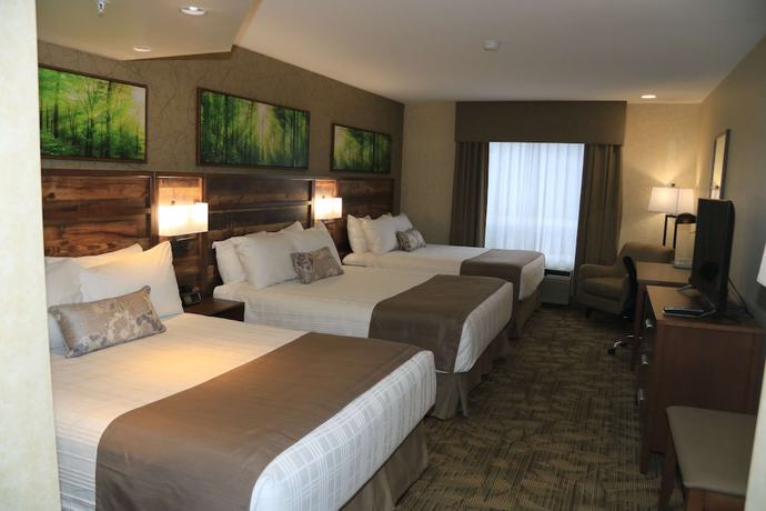 Imagen de la habitación del Hotel Best Western Plus Valemount Inn and Suites. Foto 9