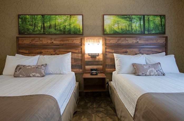 Imagen de la habitación del Hotel Best Western Plus Valemount Inn and Suites. Foto 11