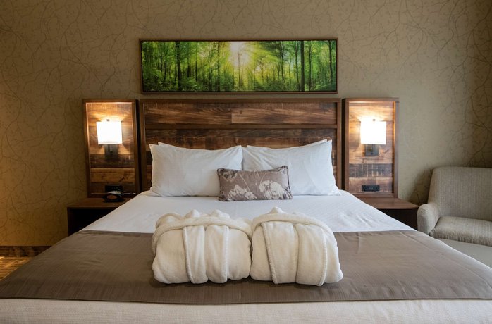 Imagen de la habitación del Hotel Best Western Plus Valemount Inn and Suites. Foto 16