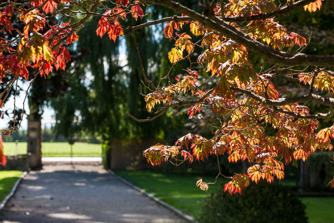 Imagen de los exteriores del Hotel Best Western Plus Villa Tacchi. Foto 10