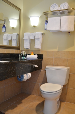 Imagen de la habitación del Hotel Best Western Plus Vineyard Inn and Suites. Foto 10