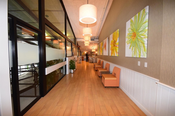 Imagen del bar/restaurante del Hotel Best Western Plus Waltham Boston. Foto 2