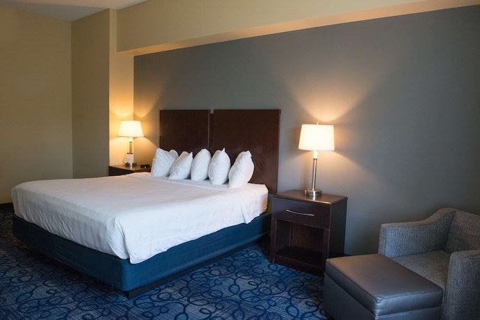Imagen de la habitación del Hotel Best Western Plus Waynesboro Inn and Suites Conference Center. Foto 13