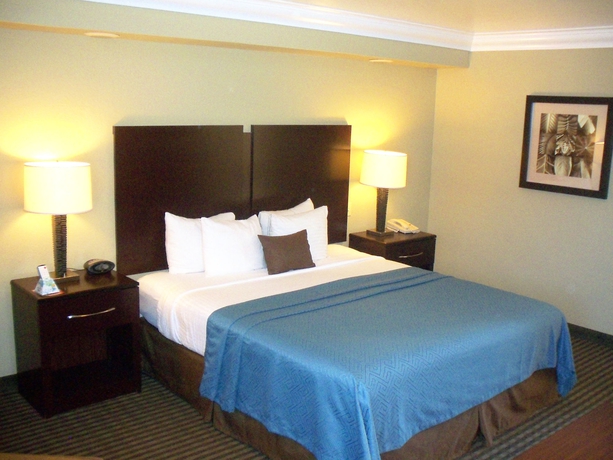 Imagen de la habitación del Hotel Best Western Plus Wine Country Inn and Suites. Foto 10