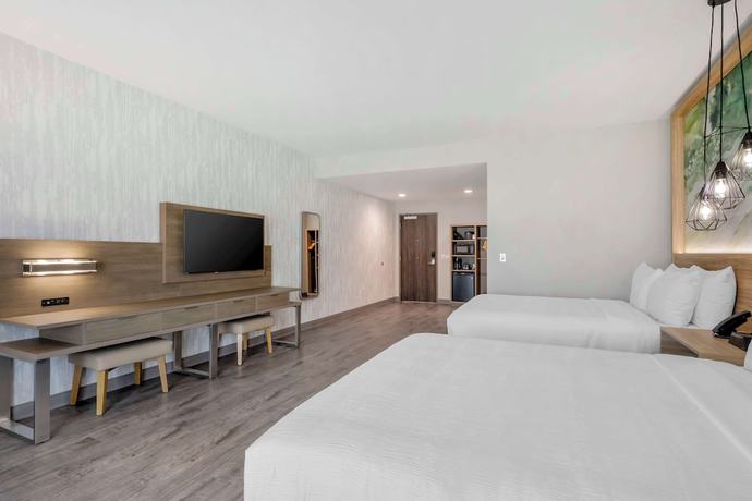Imagen de la habitación del Hotel Best Western Plus Winter Haven Inn And Suites. Foto 8