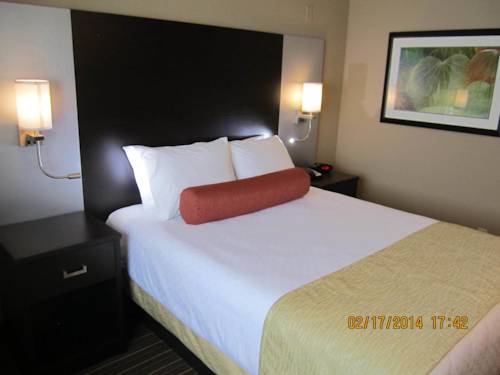 Imagen de la habitación del Hotel Best Western Plus Woodstock Inn & Suites. Foto 15