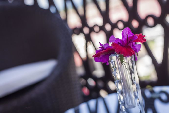 Imagen de la habitación del Hotel Best Western Plus Zanzibar. Foto 11