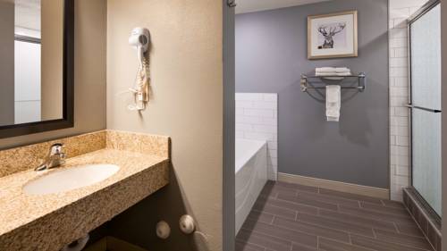 Imagen de la habitación del Hotel Best Western Pocatello Inn. Foto 12