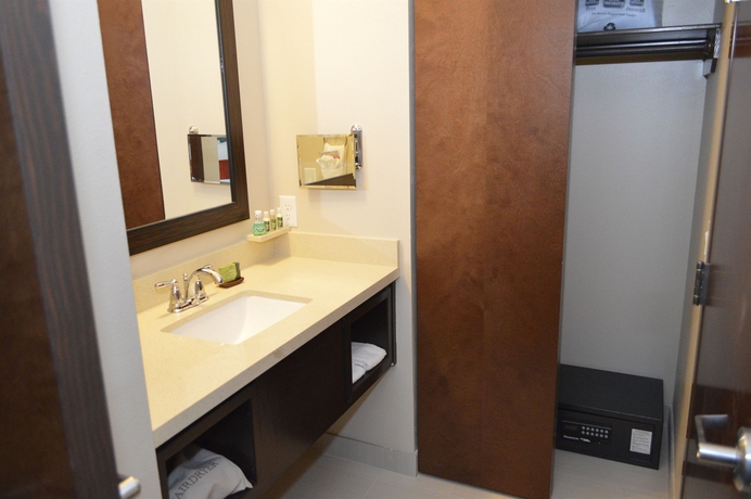 Imagen de la habitación del Hotel Best Western Premier Ashton Suites-willowbrook. Foto 5