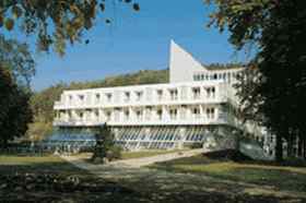 Imagen general del Hotel Best Western Premier Bad Merge. Foto 4
