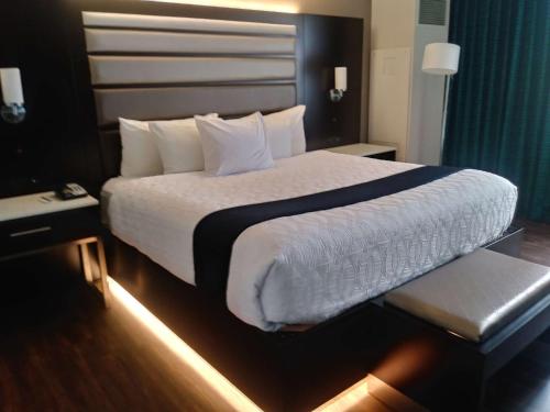 Imagen de la habitación del Hotel Best Western Premier Jacksonville. Foto 6