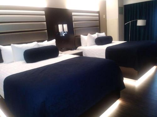 Imagen general del Hotel Best Western Premier Jacksonville. Foto 4