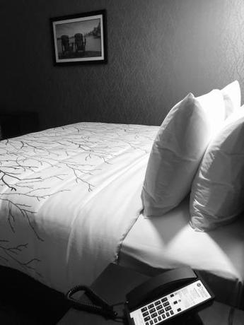 Imagen de la habitación del Hotel Best Western Premier Northwood. Foto 4