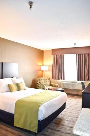 Imagen de la habitación del Hotel Best Western Providence Warwick Airport Inn. Foto 4