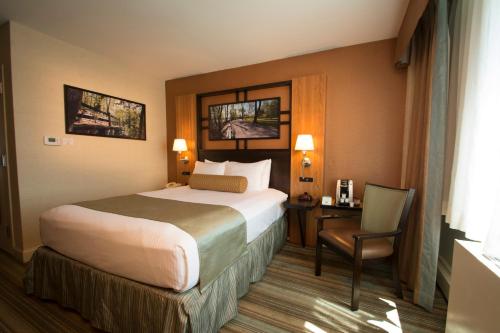 Imagen de la habitación del Hotel Best Western Queens Gold Coast. Foto 6