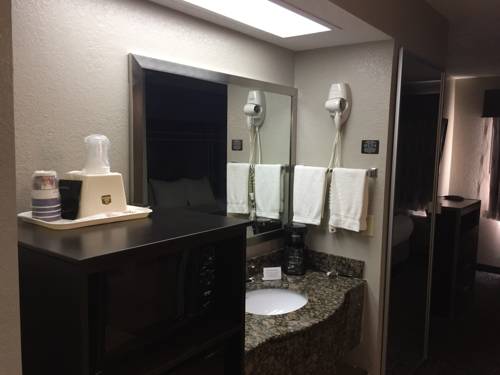 Imagen de la habitación del Hotel Best Western Richland Inn & Suites. Foto 7