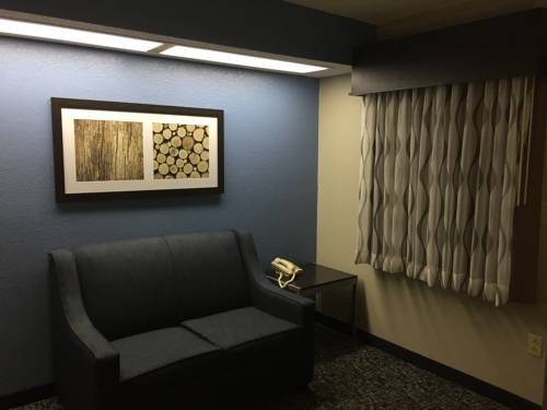 Imagen de la habitación del Hotel Best Western Richland Inn & Suites. Foto 9