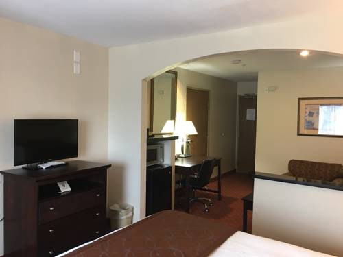 Imagen de la habitación del Hotel Best Western Roanoke Inn & Suites. Foto 3