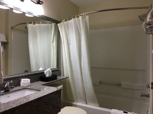 Imagen de la habitación del Hotel Best Western Roanoke Inn & Suites. Foto 5