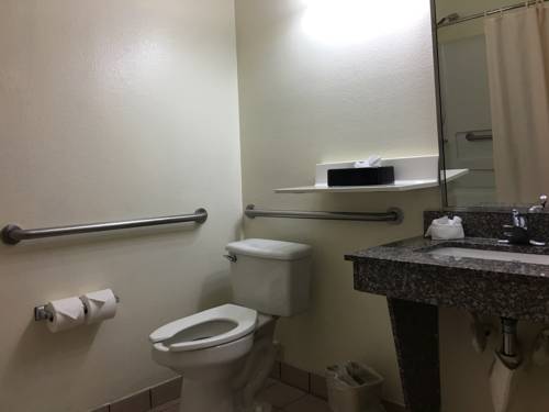 Imagen de la habitación del Hotel Best Western Roanoke Inn & Suites. Foto 8