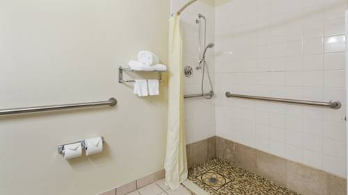 Imagen de la habitación del Hotel Best Western Roanoke Inn & Suites. Foto 15