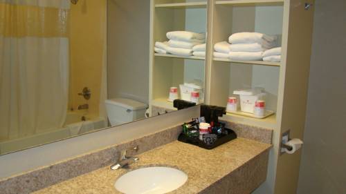 Imagen de la habitación del Hotel Best Western Rochester Mayo Clinic Area/st. Mary's. Foto 3